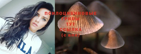 apvp Абдулино