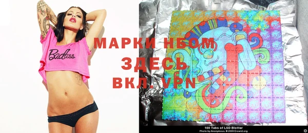 стаф Алексеевка